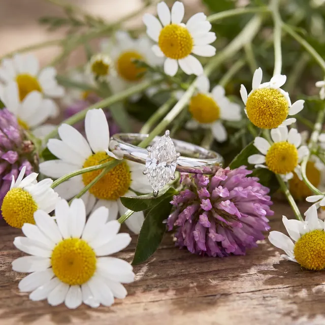 A white gold round halo ring among daisies and clover