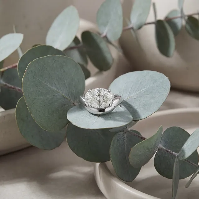 A white gold round diamond solitaire among eucalyptus leaves